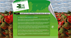 Desktop Screenshot of cactusthiemann.com
